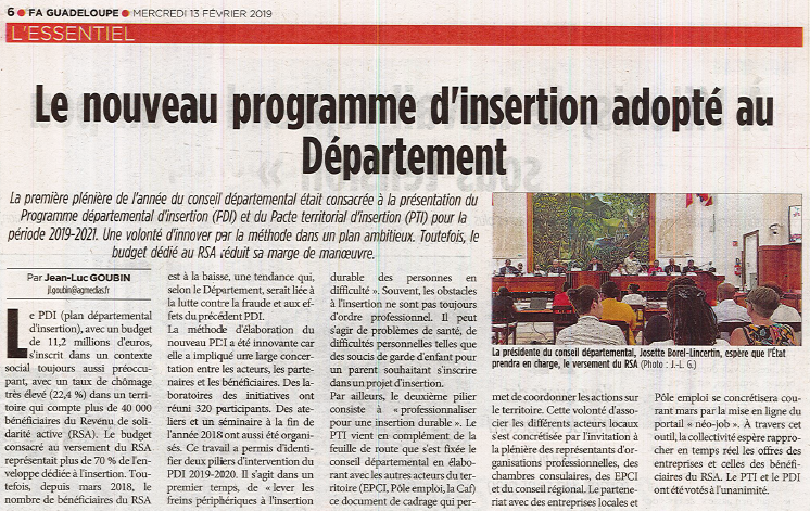 Plénière « spécial Insertion » du Conseil Départemental