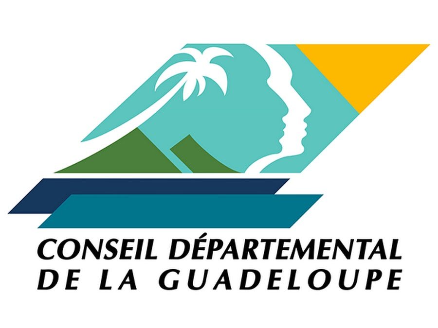 Appel a projet pour la mise en œuvre d’ateliers parcours d’insertion (api) pour les bénéficiaires du rsa sur le territoire de la Guadeloupe