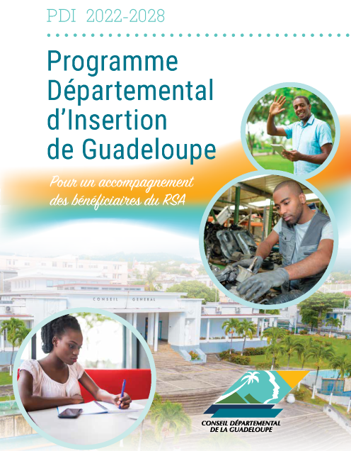 PDI – Programme Départemental d’Insertion 2022 – 2028